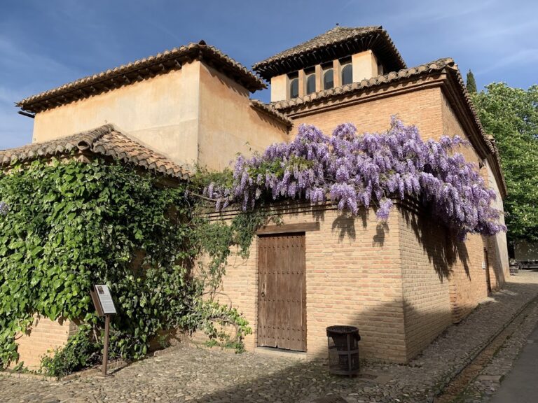 Ángel Barrios Museum-legacy