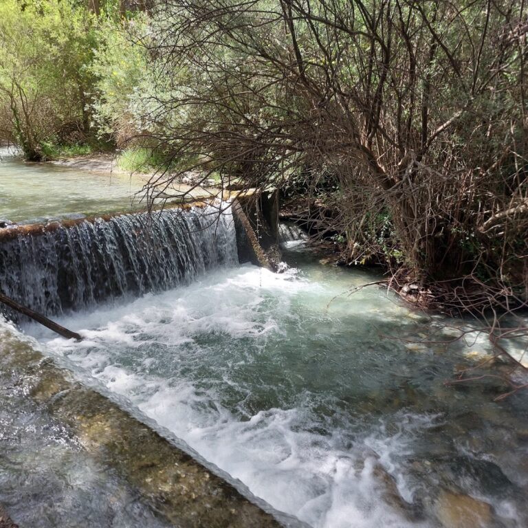 Area Recreativa Rio Dilar