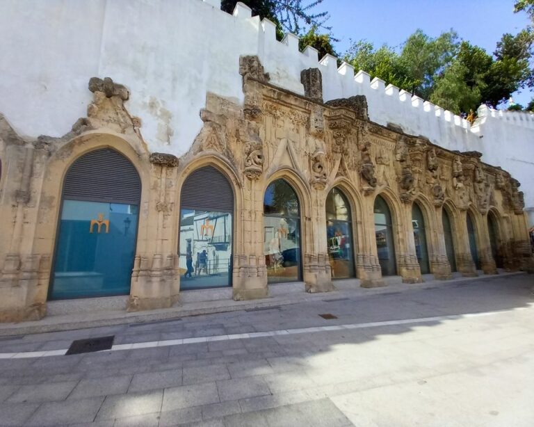 CIMA – Centro de Interpretación de la Manzanilla