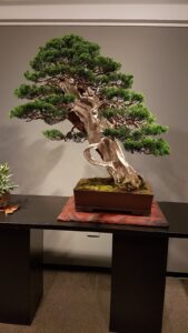 Casa de la Cultura «Manuel Delgado Perea»