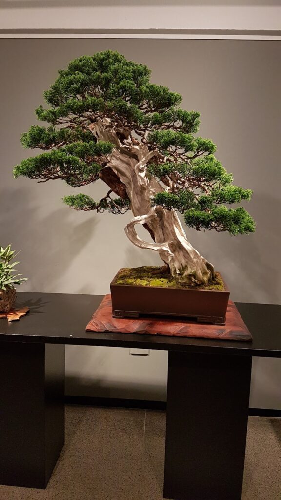 Casa de la Cultura «Manuel Delgado Perea»