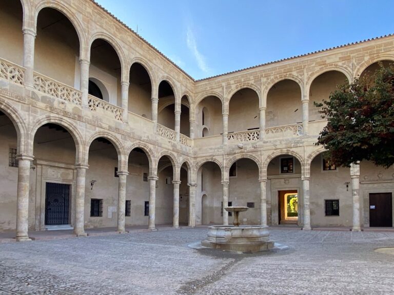 Castillo Palacio de los Ribera