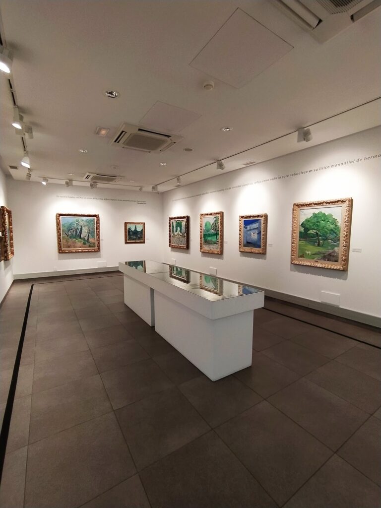 Centro De Arte Contemporaneo Rafael Boti