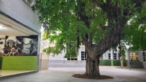 Centro Municipal Artes Escénicas