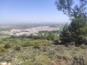 Cerro Miguelico