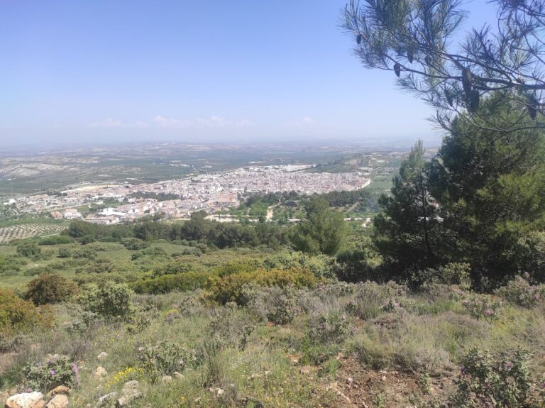 Cerro Miguelico