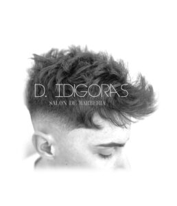D.IDIGORAS/2