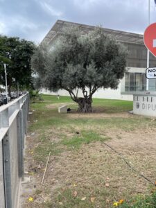 Diputación de Málaga -Sala de Exposiciones EntreEdificios