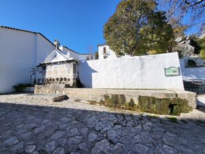 FUENTE ABAJO, GRAZALEMA