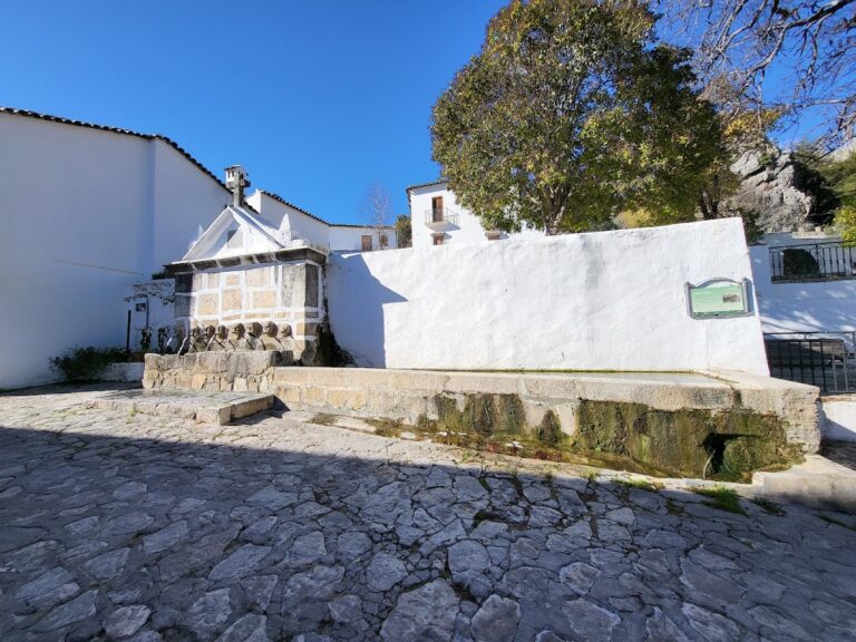 FUENTE ABAJO, GRAZALEMA
