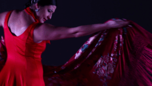 Flamenco y cultura