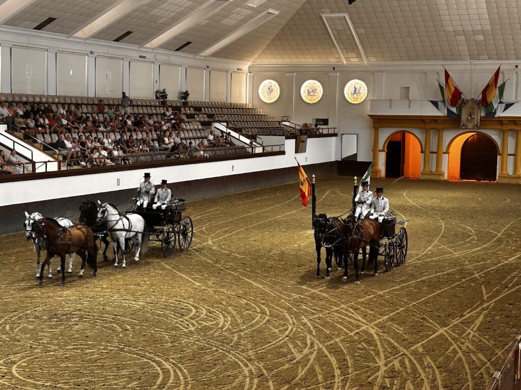 Fundacion Escuela de Caballerias.