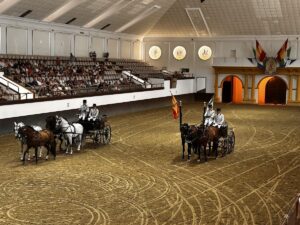 Fundacion Escuela de Caballerias.