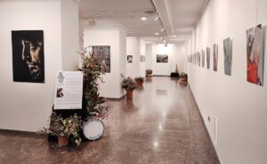 Fundación Ibercaja La Rioja – Sala de exposiciones