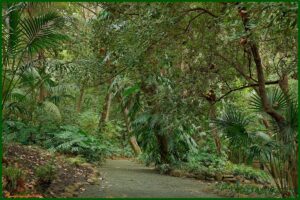 Jardín Botánico – Histórico La Concepción