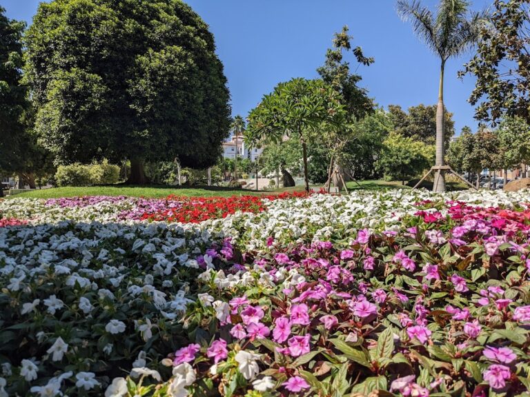 Jardines de Carmen Thyssen