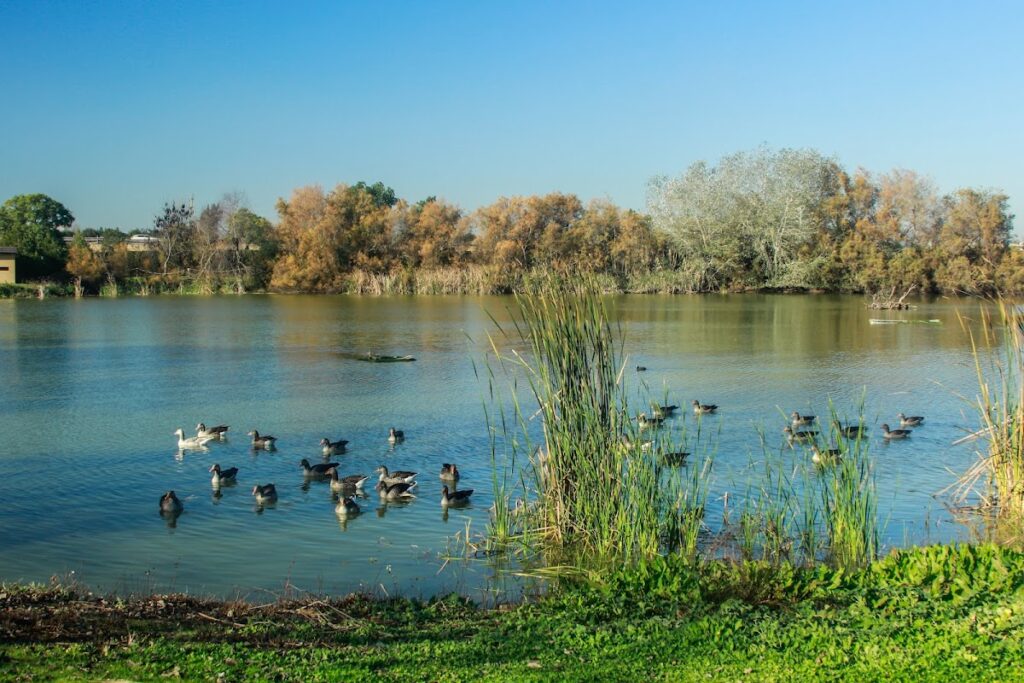 Laguna de Fuente del Rey