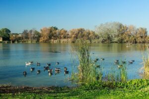 Laguna de Fuente del Rey