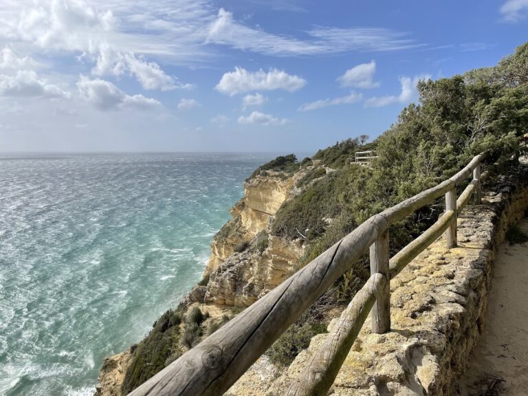 Mirador Torre del Tajo – Medio Ambiente
