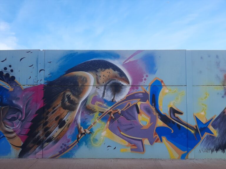Muro Cultural de la Galería de Arte de La Chana