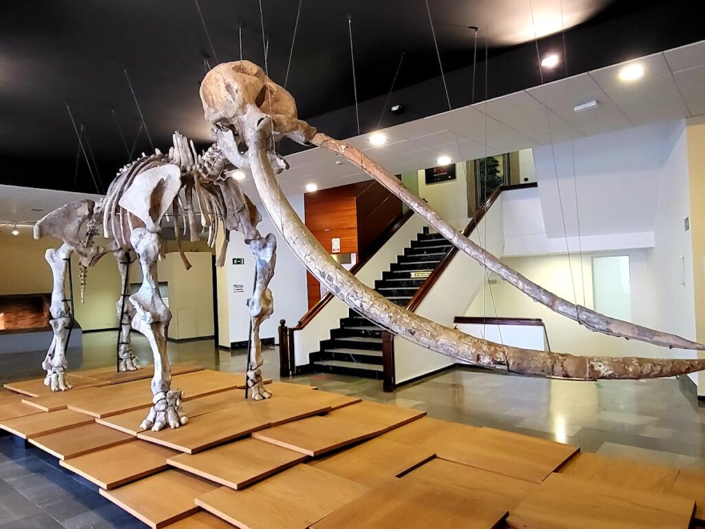 Museo de Ciudad Real