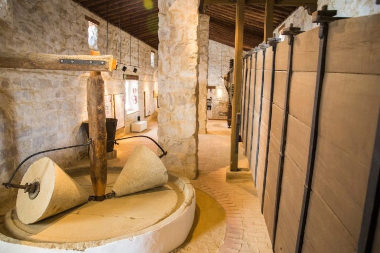 Museo de la Cultura del Olivo – Oleoturismo – Cata de Aceites