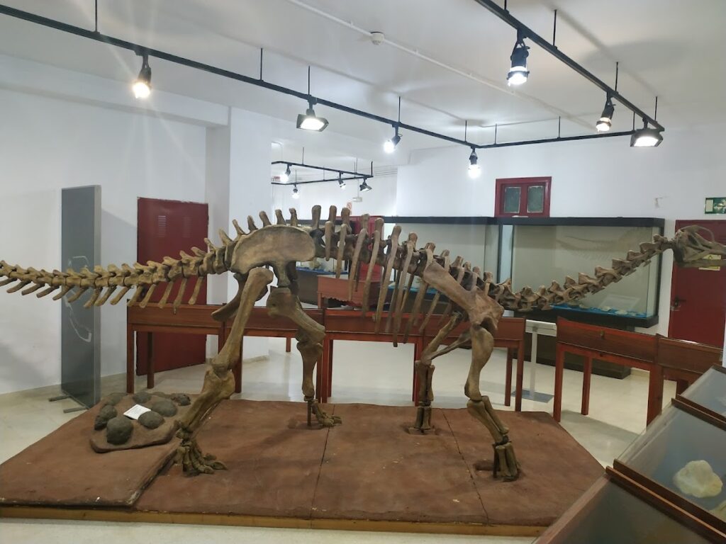 Museos Municipales de Estepona