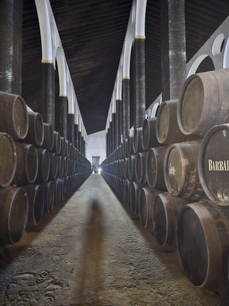 Museum Shop and Visitor Center Bodegas Barbadillo