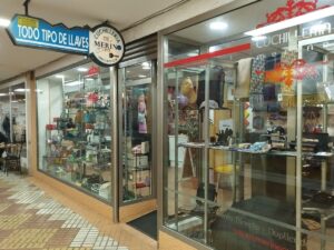 Nicole Lee Puertollano