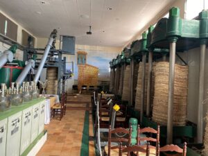 OLEOTURISMO – SALA MUSEO OLEOUNIÓN