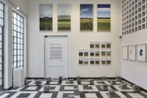 PALMA galería