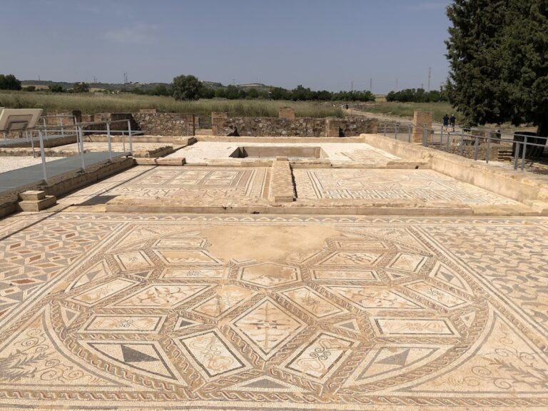 Planetary Mosaic House