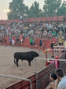 Plaza de Toros de Marchamalo