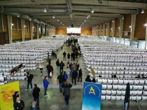 Talavera Ferial Foundation