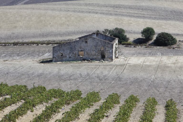 Viña La Canariera