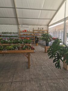 Vivero Fresh Garden Toledo