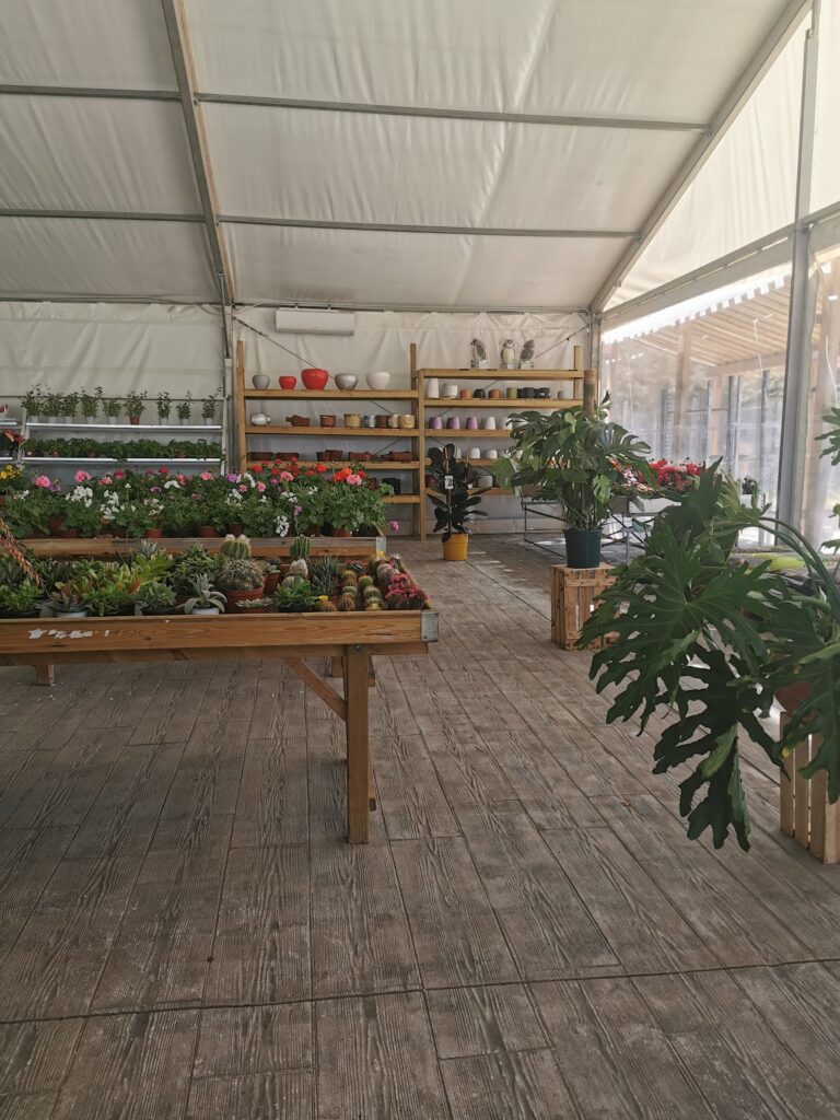 Vivero Fresh Garden Toledo