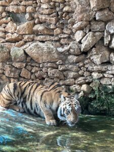 Zoo de Castellar