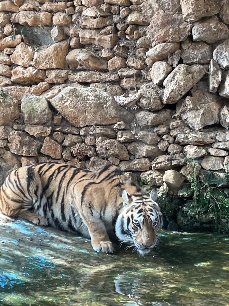 Zoo de Castellar