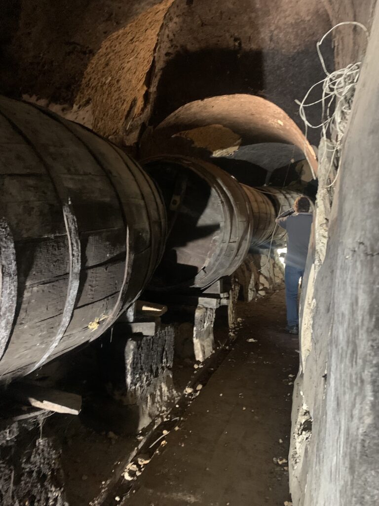 ABCD Asociación de Bodegas y Cuevas de Dueñas