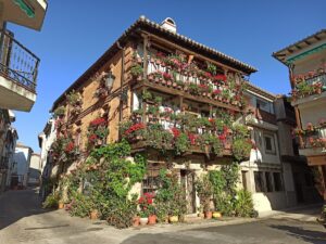 Casa de las Flores. Museo del Juguete de Hojalata. Visita al Casco Antiguo con audioguías.