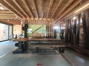 Casa del Parque de la Laguna Negra y Museo Del Bosque