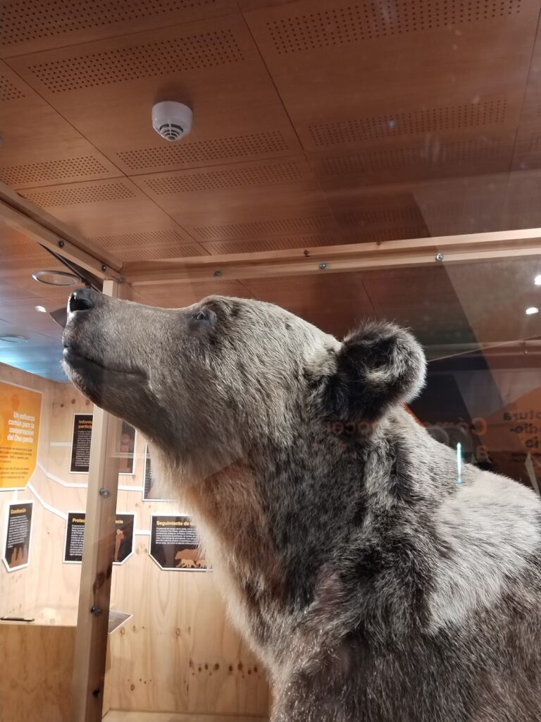 Casa del parque de Cervera de Pisuerga