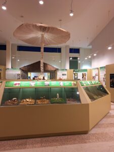 Centro de Interpretación de las Especies Micológicas.
