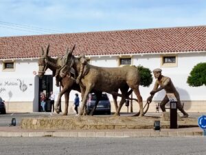 Centro de Recepción de Visitantes de Munera