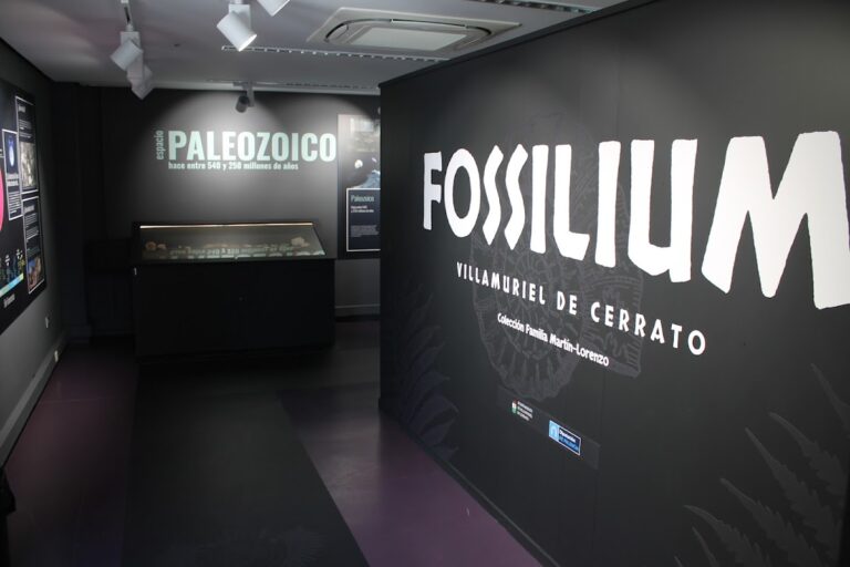Fossilium Villamuriel de Cerrato