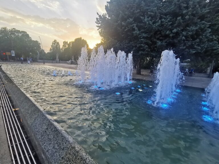 Fuente de la Evolución