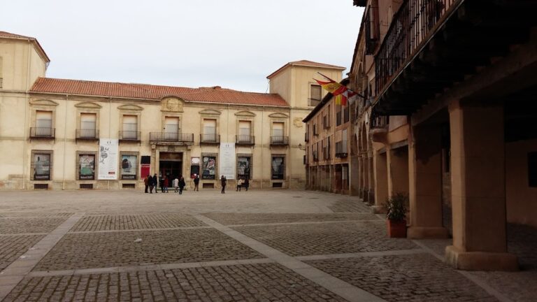 Fundación DEARTE (Palacio Ducal de Medinaceli)