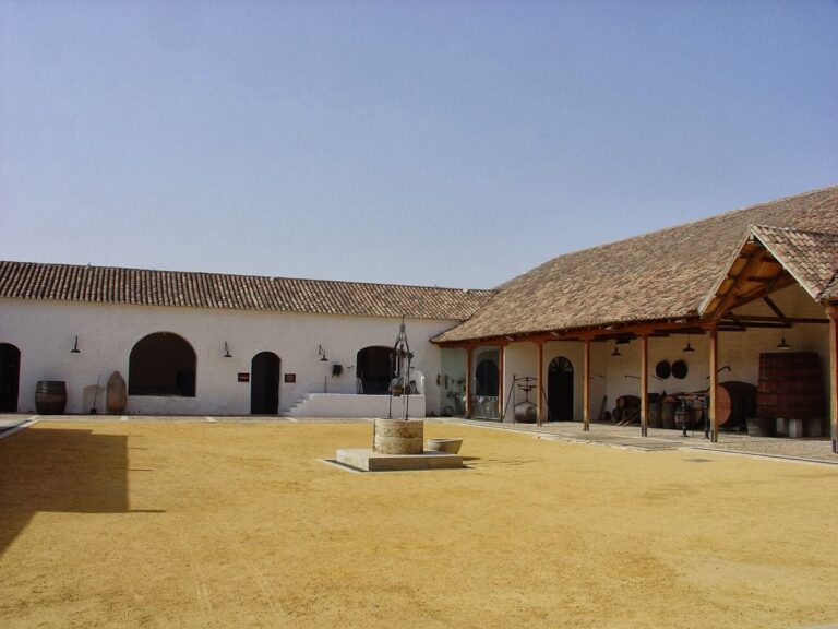 Fundación Museo del Vino de Valdepeñas