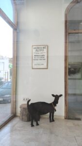 Galería de Arte Avima